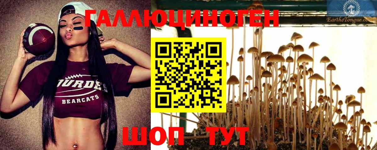 Псилоцибиновые грибы мицелий Джанкой