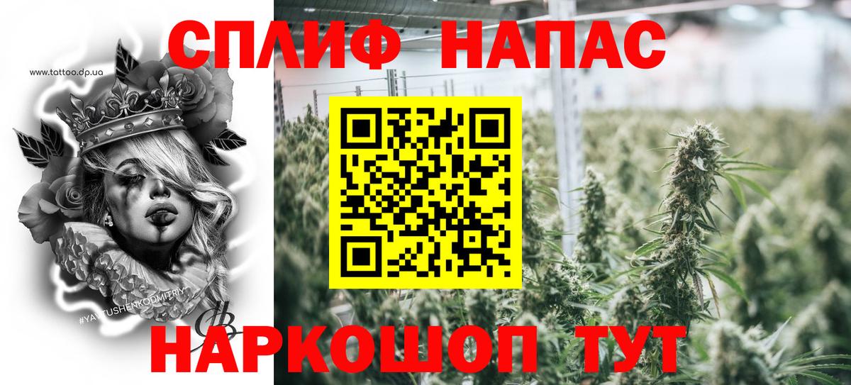 Бошки марихуана VHQ  Марихуана сатива  Вход с VPN  Джанкой  Марихуана семена  Каннабис планчик 